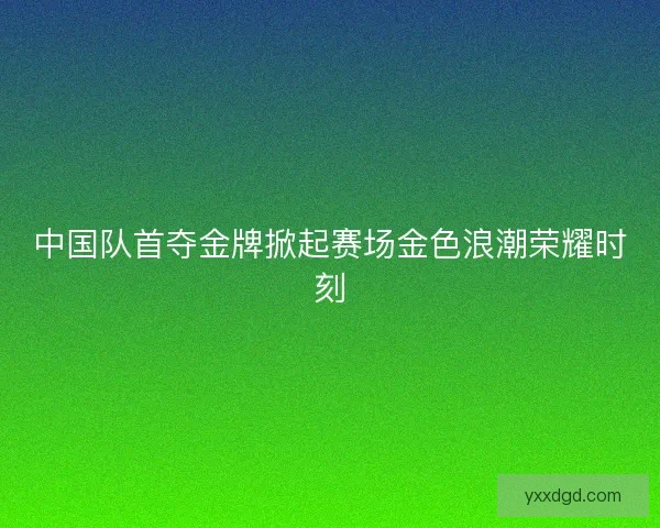 中国队首夺金牌掀起赛场金色浪潮荣耀时刻 中国队首夺金牌掀起赛场金色浪潮荣耀时刻